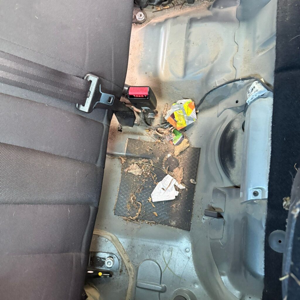 Photo Nettoyage Avant / Après Megane 3 Orléans Photo Nettoyage Avant / Après Megane 3 Orléans